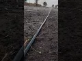 Download Lagu Rain Drip irrigation                #farming #drip #agriculture #dripirrigation