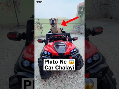 Pluto Ki Car Vs Billa 😂