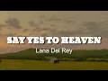 Download Lagu Lana Del Rey - Say Yes To Heaven (Lirik dan Terjemahan)