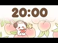 20 Minute Timer Study Timer for Classroom Focus