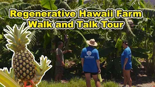 Hawaii Regenerative Farm Walk Around Tour - - Learn about how we manage our farm on Maui