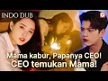 【INDO DUB】❤️PULANG dengan BOCAH LUCU, jadi SEKRETARIS \u0026 ketahui BOS adalah BAPAKNYA! #drama