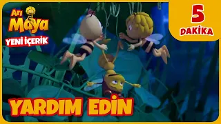 🐝 Arı Maya | Saklanacak Yer Arıyorlar! 🫣🦉| Yeni İçerik 💛@Minika