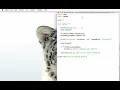 Python L6 using random randint and a while loop