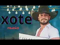 Download Lagu DIOVANE SEVERO XOTE PISADAO 2025 CD NOVO E COMPLETO FORRO