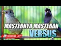 Download Lagu CUCAK CUNGKOK GACOR ISTIMEWA VERSUS KAPAS TEMBAK GACOR NEMBAK JERNIH PANJANG - MASTERAN BURUNG MEWAH