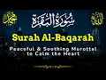 Download Lagu Surah Al-Baqarah Full Recitation | Peaceful \u0026 Soothing Murottal to Calm the Heart - Alaa Aqel