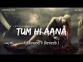 Lagu Maine Tera Naam Dil Rakh Diya (Slowed + Reverb) | Raghav Chaitanya, Shreya Ghoshal | SR Lofi