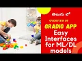Overview of Gradio Python App Deploy ML models using Gradio App ML projects in Telugu