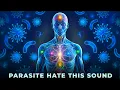 1150Hz Rife Frequency 5 Minutes Quick Parasite Cleanse Deep Healing