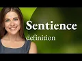 Sentience SENTIENCE definition