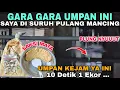 Lagu KEJAM NYA BIKIN PEMANCING LAIN GERAM ... IKAN REBUTAN UMPAN UMOAN BARU JATUH LANGSUNG DI MAKAN