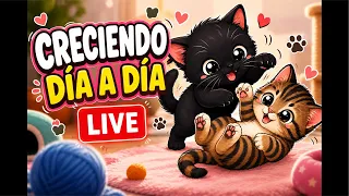 Ayúdanos a seguir creciendo.-Michi house