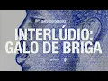 01. Baco Exu do Blues - Interlúdio: Galo de Briga