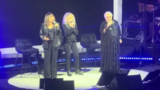 שוקולד מנטה מסטיק הביתה זאפה אמפי שוני 24 05 25 