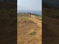 Download Lagu 📍wayanad korome view point  #travel #trending #trendingshorts #wayanad #hills #traveling #shor#like