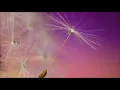 Technimatic ft. Zara Kershaw - Parallel (Accoustic Version)