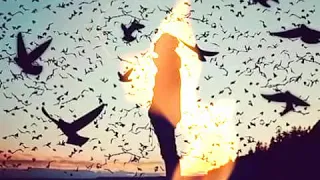 اجمل اغنية      انيس دزيزي أصحاب الشر  دندنها