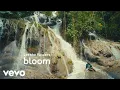 Aqyila - Bloom