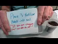 Planting Wisconsin Fast Plants