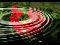 Best Therapeutic Massage in Tulsa 918-779-1291 The Best way to be stress free Brent W