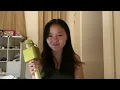 Love of My Life - Avery Lynch (cover)