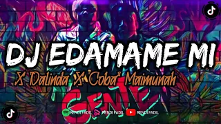 Download DJ EDAMAME X MI GENTE VIRAAL TIKTOK MP3