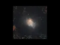 Ali Dada - Tea Surf (Trippin Jaguar's Neon Wave Remix)