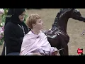 Download Lagu N 68 SH NAYLA   2019 Qatar Individuals   Fillies 2 Years Old Class 2B
