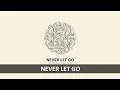 Download Lagu TYLER BROWN WILLIAMS - NEVER LET GO LYRICS