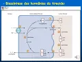 Channel