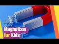 Magnetism for Kids Learn All About Magnets Science Lesson for Kids