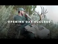 Giant Mule Deer Hunting 12 Days of Scouting Pays Off