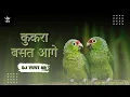 Download Lagu KUKRA BASAT AAGE SAGA PAHUNA - DJ YUVI SR || SUA GEET || dj lallu x dj sbk