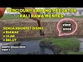 Download Lagu PART1 NGERI!! EXCAVATOR BONGKAR SARANG ULAR || PREDATOR PENGHUNI KALI RAWAMENTES #dedimulyadi