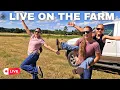 Download Lagu Hauling Square Bales with 4 farmers Daughters 🚩 LIVE 🌾