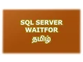 WAITFOR DELAY TIME in SQL Server Tamil