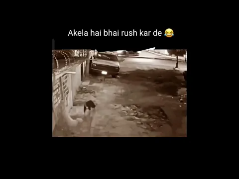 Only Pro Players Can Relate 😜😵‍💫 || Like Thoko Guys🤗