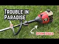 It Died On Me - Fixing My Craftsman 32cc Weedwacker Trimmer