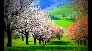 ياس خضر   ارد اعوفن كل هلي دندنها