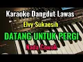 Download Lagu DATANG UNTUK PERGI - Elvi Sukaesih - Karaoke Dangdut Lawas // Nada Cowok