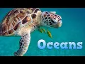 Download Lagu Oceans for Kids | Learn about Oceans | Educational Video for Children