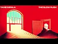 Tame Impala - Borderline (432hz)