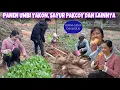 Lagu UMBI YAKON DAN BEBERAPA SAYURAN SIAP PANEN, TAHUN INI HASIL PANEN SEMUA BAGUS DAN RASANYA BEDA 