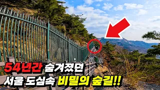 Download Walking through Seoul’s Secret Forest, hidden by North Korea for 54 years MP3