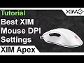 XIM APEX - Best Mouse DPI Settings for XIM Tutorial