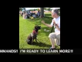 NJ ADOPT BENTLEY