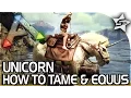 THE UNICORN - How to Tame the Unicorn Equus Taming