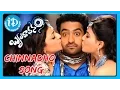 Lagu Chinnadho Song - Brindavanam Movie Songs - NTR Jr - Kajal Aggarwal - Samantha