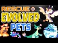 How to Rescue EVOLVED PETS With NO MEMBERSHIP Working 2024 Prodigy Math Game